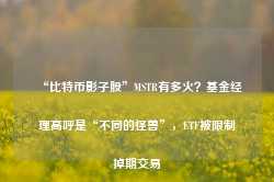 “比特币影子股”MSTR有多火？基金经理高呼是“不同的怪兽”，ETF被限制掉期交易-第1张图片-热门旅游目的地推荐-旅游攻略