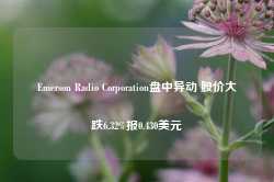 Emerson Radio Corporation盘中异动 股价大跌6.32%报0.430美元-第1张图片-热门旅游目的地推荐-旅游攻略