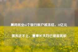 晨鸣纸业65个银行账户被冻结，18亿元债务还不上，董事长夫妇已提前离职-第1张图片-热门旅游目的地推荐-旅游攻略