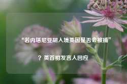 “若内塔尼亚胡入境英国是否会被捕”？英首相发言人回应-第1张图片-热门旅游目的地推荐-旅游攻略