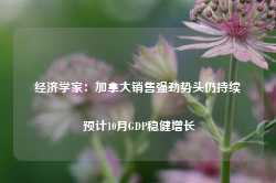 经济学家：加拿大销售强劲势头仍持续 预计10月GDP稳健增长-第1张图片-热门旅游目的地推荐-旅游攻略