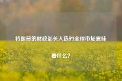 特朗普的财政部长人选对全球市场意味着什么？-第1张图片-热门旅游目的地推荐-旅游攻略