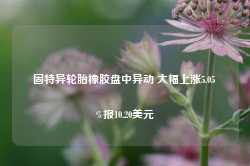 固特异轮胎橡胶盘中异动 大幅上涨5.05%报10.20美元-第1张图片-热门旅游目的地推荐-旅游攻略