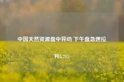 中国天然资源盘中异动 下午盘急速拉升5.75%-第1张图片-热门旅游目的地推荐-旅游攻略