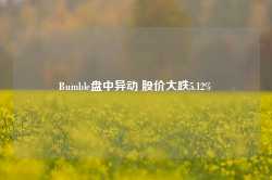 Bumble盘中异动 股价大跌5.12%-第1张图片-热门旅游目的地推荐-旅游攻略