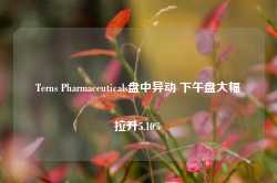 Terns Pharmaceuticals盘中异动 下午盘大幅拉升5.10%-第1张图片-热门旅游目的地推荐-旅游攻略