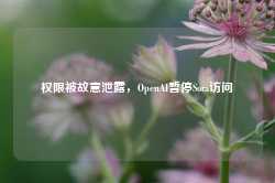 权限被故意泄露，OpenAI暂停Sora访问-第1张图片-热门旅游目的地推荐-旅游攻略