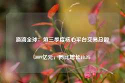 滴滴全球：第三季度核心平台交易总额1009亿元，同比增长10.3%-第1张图片-热门旅游目的地推荐-旅游攻略