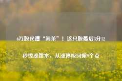 6万股民遭“闷杀”！这只股最后3分12秒惊魂跳水，从涨停板回撤9个点-第1张图片-热门旅游目的地推荐-旅游攻略