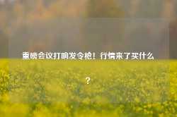 重磅会议打响发令枪！行情来了买什么？-第1张图片-热门旅游目的地推荐-旅游攻略