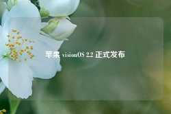 苹果 visionOS 2.2 正式发布-第1张图片-热门旅游目的地推荐-旅游攻略