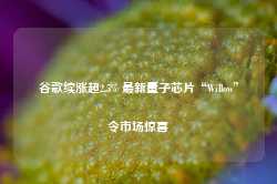 谷歌续涨超2.5% 最新量子芯片“Willow”令市场惊喜-第1张图片-热门旅游目的地推荐-旅游攻略