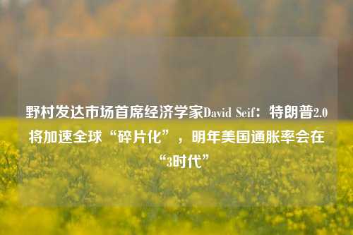 野村发达市场首席经济学家David Seif：特朗普2.0将加速全球“碎片化”，明年美国通胀率会在“3时代”