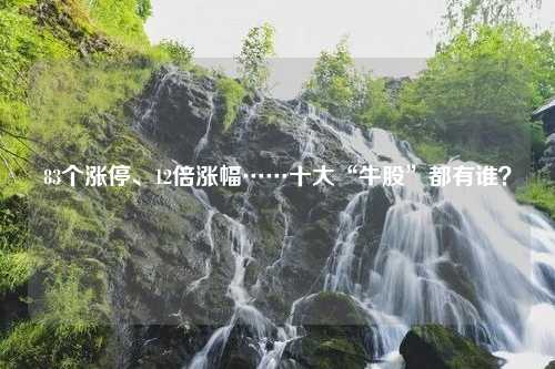 83个涨停、12倍涨幅……十大“牛股”都有谁？