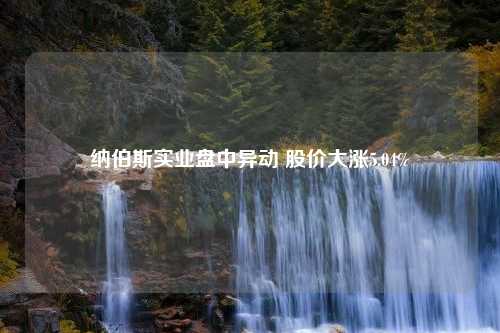 纳伯斯实业盘中异动 股价大涨5.04%