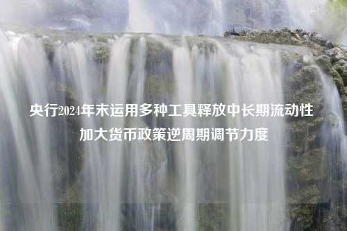 央行2024年末运用多种工具释放中长期流动性 加大货币政策逆周期调节力度