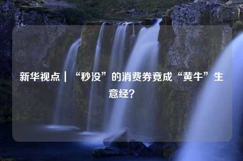 新华视点｜“秒没”的消费券竟成“黄牛”生意经？