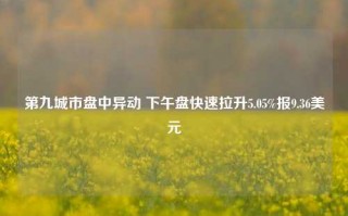 第九城市盘中异动 下午盘快速拉升5.05%报9.36美元