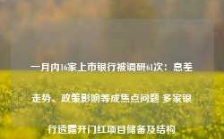 一月内16家上市银行被调研61次：息差走势、政策影响等成焦点问题 多家银行透露开门红项目储备及结构