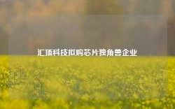 汇顶科技拟购芯片独角兽企业