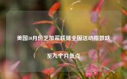 美国10月份芝加哥联储全国活动指数跌至九个月低点