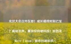 光伏大会召开在即！成长唱戏时刻已至？高层发声，募资投向硬科技！双创龙头ETF（588330）随市回调收跌1%