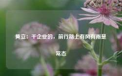 黄立：干企业的，前行路上有风有雨是常态