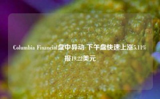 Columbia Financial盘中异动 下午盘快速上涨5.11%报19.22美元