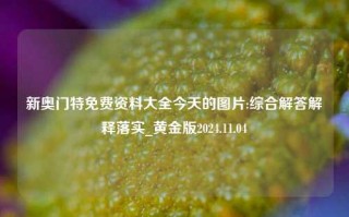 新奥门特免费资料大全今天的图片:综合解答解释落实_黄金版2024.11.04