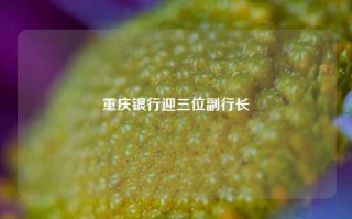 重庆银行迎三位副行长