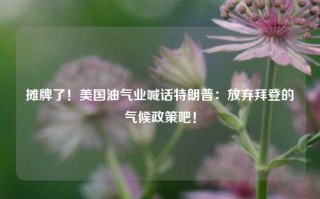 摊牌了！美国油气业喊话特朗普：放弃拜登的气候政策吧！