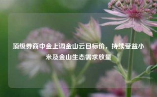 顶级券商中金上调金山云目标价，持续受益小米及金山生态需求放量