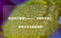 欧洲央行管委Stournaras：在利率达到2%前每次会议都应降息