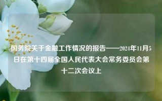 国务院关于金融工作情况的报告——2024年11月5日在第十四届全国人民代表大会常务委员会第十二次会议上