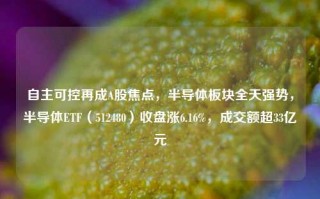 自主可控再成A股焦点，半导体板块全天强势，半导体ETF（512480）收盘涨6.16%，成交额超33亿元