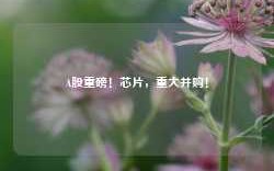 A股重磅！芯片，重大并购！