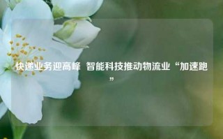 快递业务迎高峰  智能科技推动物流业“加速跑”