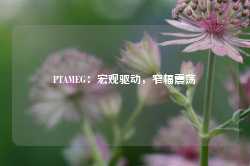 PTAMEG：宏观驱动，窄幅震荡-第1张图片-热门旅游目的地推荐-旅游攻略