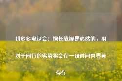 拼多多电话会：增长放缓是必然的，相对于同行的劣势将会在一段时间内显著存在-第1张图片-热门旅游目的地推荐-旅游攻略