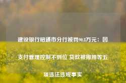 建设银行昭通市分行被罚90.8万元：因支付管理控制不到位 贷款被挪用等五项违法违规事实-第1张图片-热门旅游目的地推荐-旅游攻略